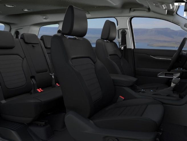 luxurious black interior col 04